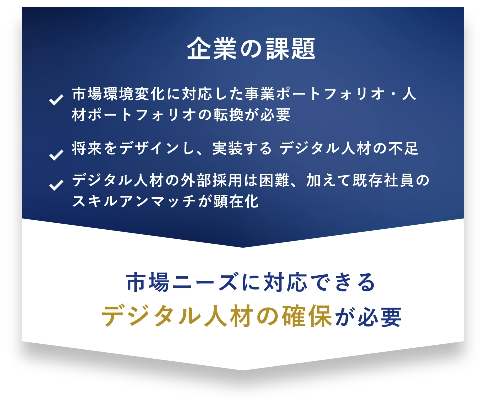 企業の課題 市場環境変化に対応した事業ポートフォリオ・人材ポートフォリオの転換が必要 将来をデザインし、実装する デジタル人材の不足 デジタル人材の外部採用は困難、加えて既存社員のスキルアンマッチが顕在化 市場ニーズに対応できるデジタル人材の確保が必要