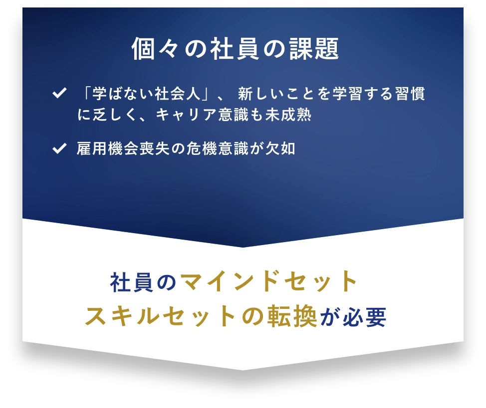 個々の社員の課題 「学ばない社会人」、 新しいことを学習する習慣に乏しく、キャリア意識も未成熟 雇用機会喪失の危機意識が欠如 社員のマインドセットスキルセットの転換が必要